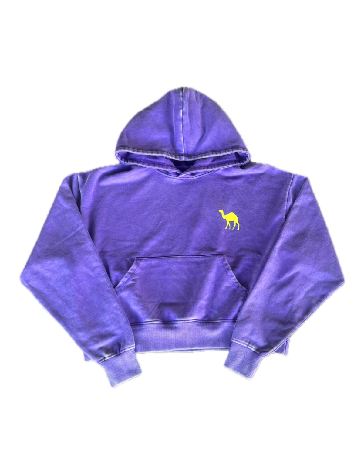 Purple Travel Team Hoodie